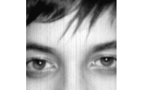 Ross Zimmerman - @neon_bible - Twitter