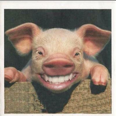 n2e4ewi's profile picture. Construction inventor, problem solver