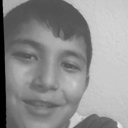 tsuncuk's profile picture. 