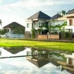 Mojo_Property's profile picture. Jual Beli property Mojokerto. Untuk pemasangan iklan jual beli property, silahkan kontak Hp 085745856665, pin:54A7E655, email mojokertoproperty@gmail.com