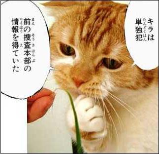 ( ･ิω･)ﾉ ิ眉毛どぞー。 みんなが笑えば平和に！幸せに！基本、人見知り慣れたら小マシンガン！？ 趣味はスポーツ観戦(主に野球｢西武｣)とダンボー●▲●を集めること 。 現在RO Breidablik鯖休業中.../ポケモンGO/FGO/フレンド等よろしくお願いします。ラーメン多め