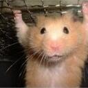 Will C. Rogers - @will_rogers - Twitter