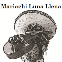 Mariachi Luna Llena (@riceu_mariachi) 's Twitter Profile