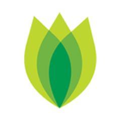 Plantforce, award winning independent landscaping company based in London, supplies and maintains office plants, exterior gardens, terraces, trees & much more.