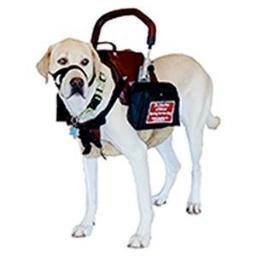 My Assistance Dog Inc is a non-profit 501(c)(3) company, spreading the word about the benefits Assistance Dogs provide disabled individuals and their families.