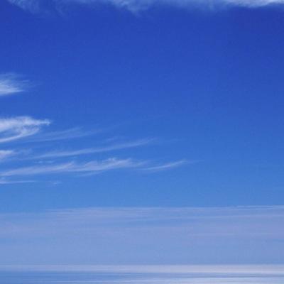 erasmodiantonio's profile picture. 