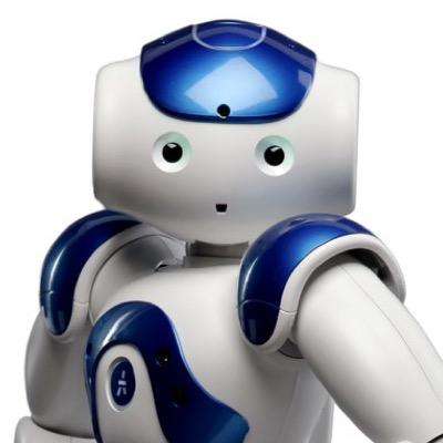 Charlie | NAO-robot | Fontys | Leraar Technisch Beroepsonderwijs |