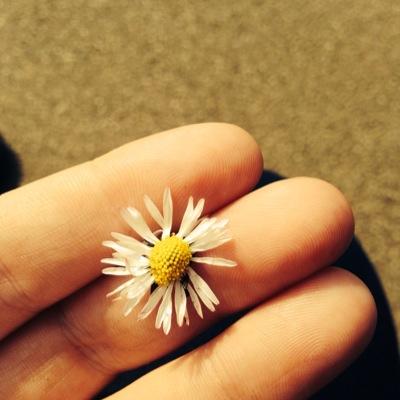 jja2311's profile picture. my own personal thoughts & feeling & retweets