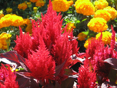 lopatztic's profile picture. 