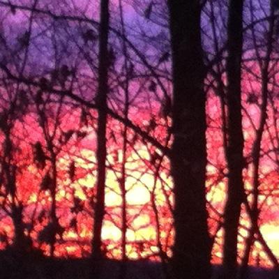 EKnight15's profile picture. 