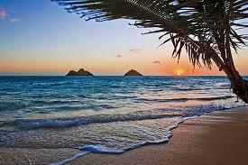 Relax In Oahu. Enjoy the Amazing Sights and Attractions. We're here 2 RT your tweets. Follow me & we follow back.