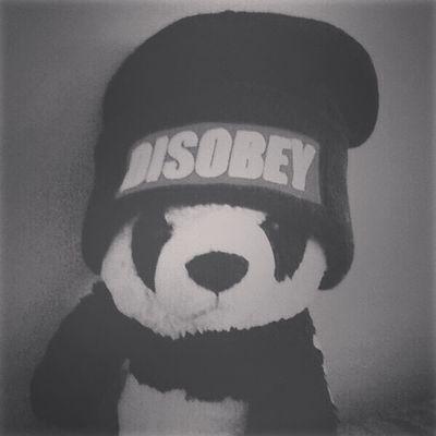 Disappeahr's profile picture. Instagram - @Asuneis                                                                   Xbox GT - Silent Rifles