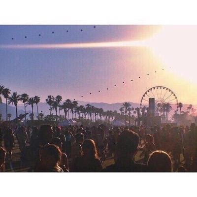 Coachella fest