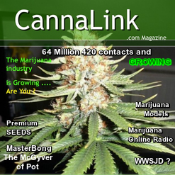 CannaLink - Marijuana Web Designs - Leaders in 420 Web Design & Marketing