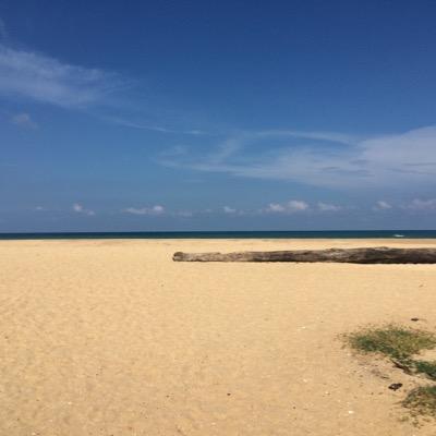 ODidou's profile picture. 