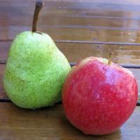 SA Apple & Pear (@saaplnpear) 's Twitter Profile