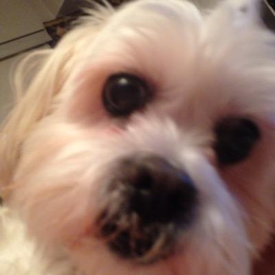 Hi! I am new to twitter and I am a Big Brother SuperFan; follow me if you love BB