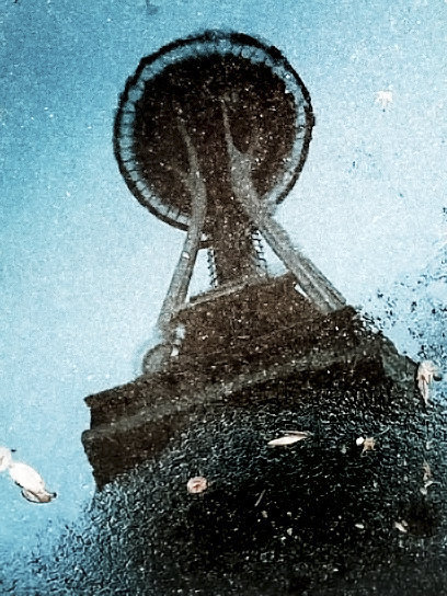 seattleaesthete's profile picture. I used to tweet about music, now I pretty much just RT anti-Trump & anti-GOP things