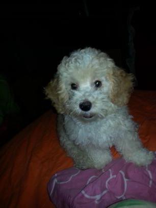 nisley1987a's profile picture. 