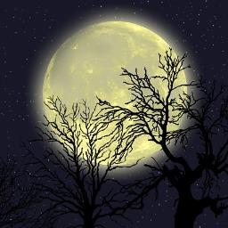 Some topics regularly featured: DIY YOUR BOOK OF SHADOWS
SABBATS
RECIPES (FOOD, SOAP, CANDLES, HERBAL OILS, ETC.)
DIVINATION.. See tweets for full list.