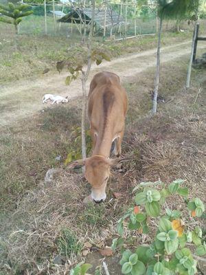 Jacklulu28's profile picture. La la la