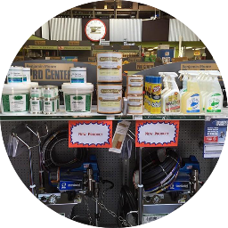 stainableprime1's profile picture. 