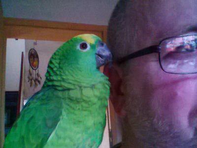 usedom_hellmut's profile picture. 