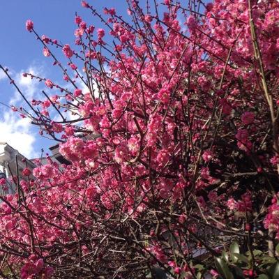 ginta48's profile picture. のんびりだらだら〜