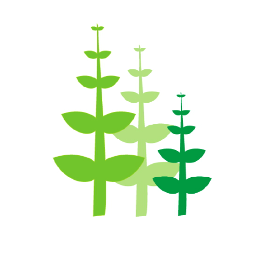 Landscape Designers with a flair for creating inspirational, sustainable and beautiful gardens.