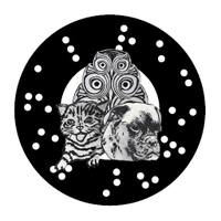 Fonal Records (@fonal) 's Twitter Profile Photo Fonal Records (@fonal) 's Twitter Profile Photo