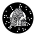Fonal Records (@fonal) Twitter profile photo Fonal Records (@fonal) Twitter profile photo