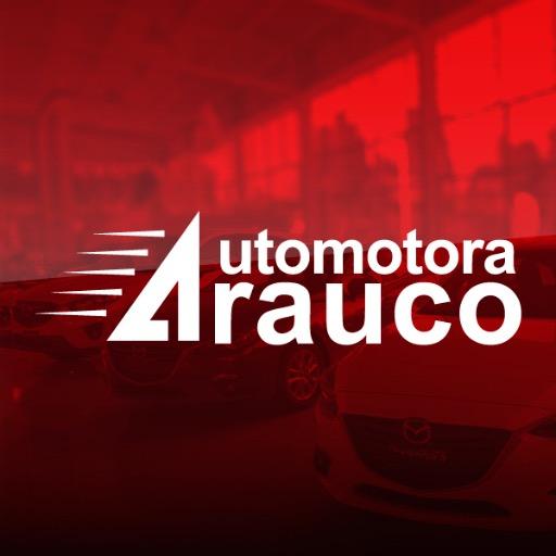 Somos una empresa con 38 años de experiencia en el mercado automotriz chileno, solos lideres en la ragión