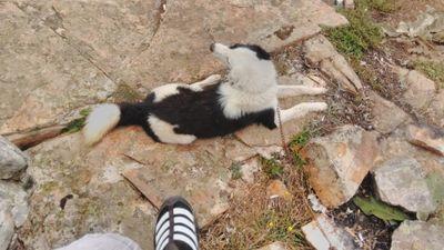 ahmetmuhammet51's profile picture. new ask Fenerbahçe
☺☺