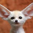 شقردي~~~~شمر (@00068f57743a4ce) Twitter