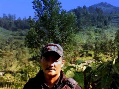 ImamSf99's profile picture. 