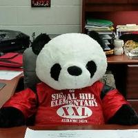 Signal Hill ES (@shespandas) 's Twitter Profile