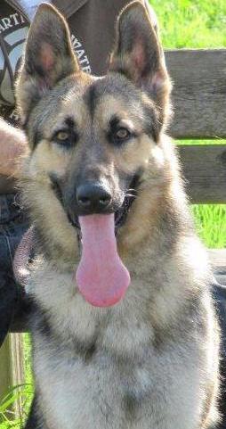 PGourou's profile picture. Statistician who prefered mkt than data analysis, but ended up doing both! Loves to act or see others act, both in theater and in the real life....