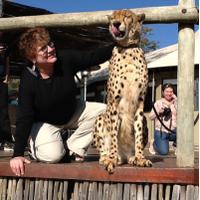 Elana Newman (@elananewman) 's Twitter Profile