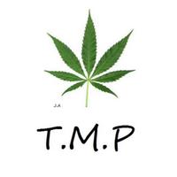 T.M.P (@tmprovision) 's Twitter Profile