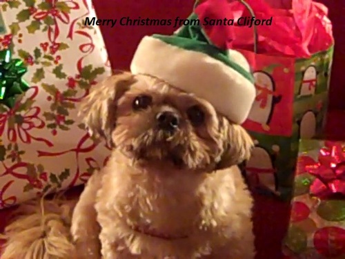 MrArmenian's profile picture. 