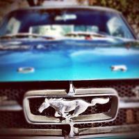Humberto Franco (@humberto_89) 's Twitter Profile Photo