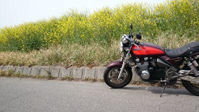 t08115kitahara's profile picture. 