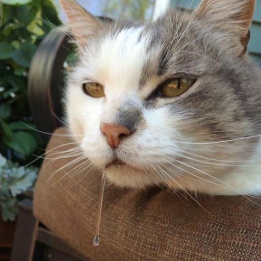 thisoshanna's profile picture. 