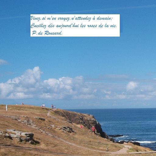 martinmarie20's profile picture. amatrice des séries françaises.