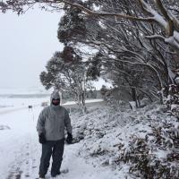 Tom Arnott (@thomasarnott) 's Twitter Profile