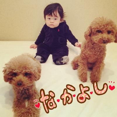 miyuking01's profile picture. トイプー2匹とベイビーの育児に追われながらのほほんと生活させてもらっています❤︎
お出掛け大好き！食べるの大好き！
皆さんと情報交換出来れば嬉しいな(^^)