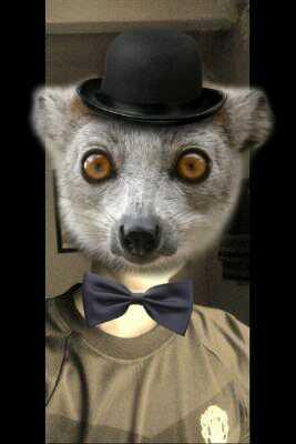 ArekXCulun's profile picture. 