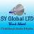 SY Global LTD