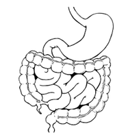 GutMicrobiomePapers (@gutpapers) 's Twitter Profile Photo GutMicrobiomePapers (@gutpapers) 's Twitter Profile Photo