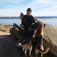 Yosemite (@b05d716f72c5493) 's Twitter Profile